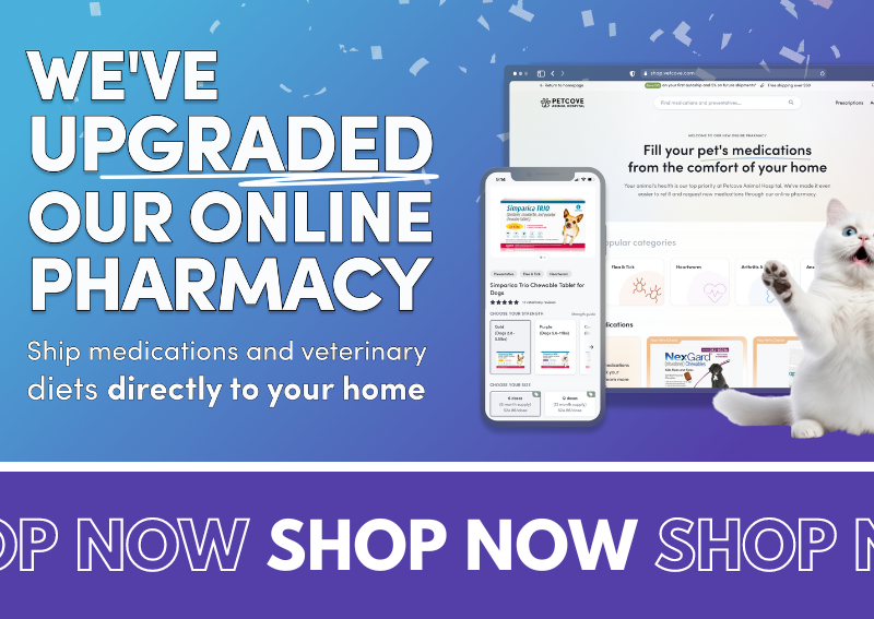 Carousel Slide 10: Shop Online Pharmacy >