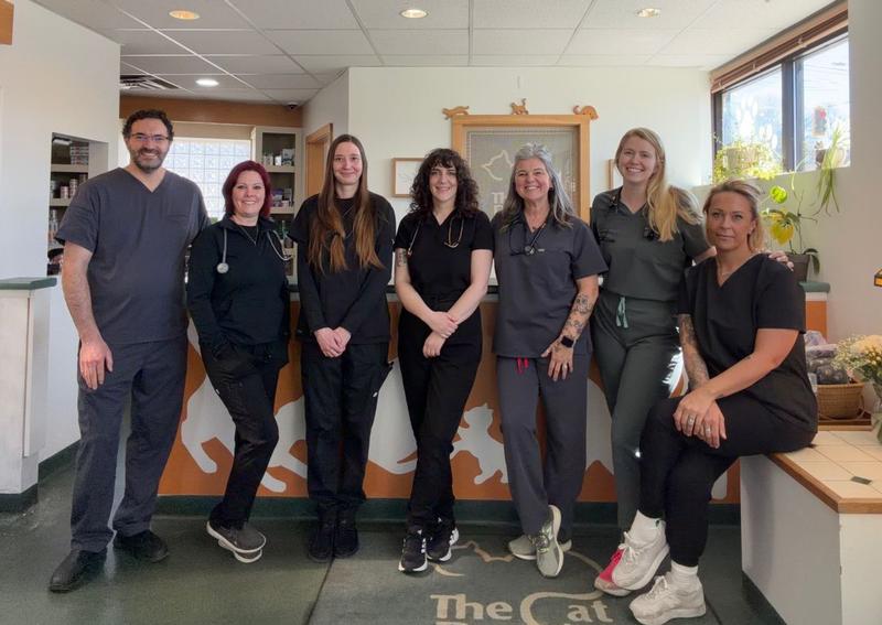 Carousel Slide 1: Online Booking Cat